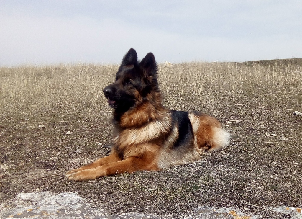 2 года 10 месяцев 4_0.jpg